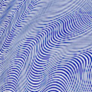 Meet your Posher, Grace don